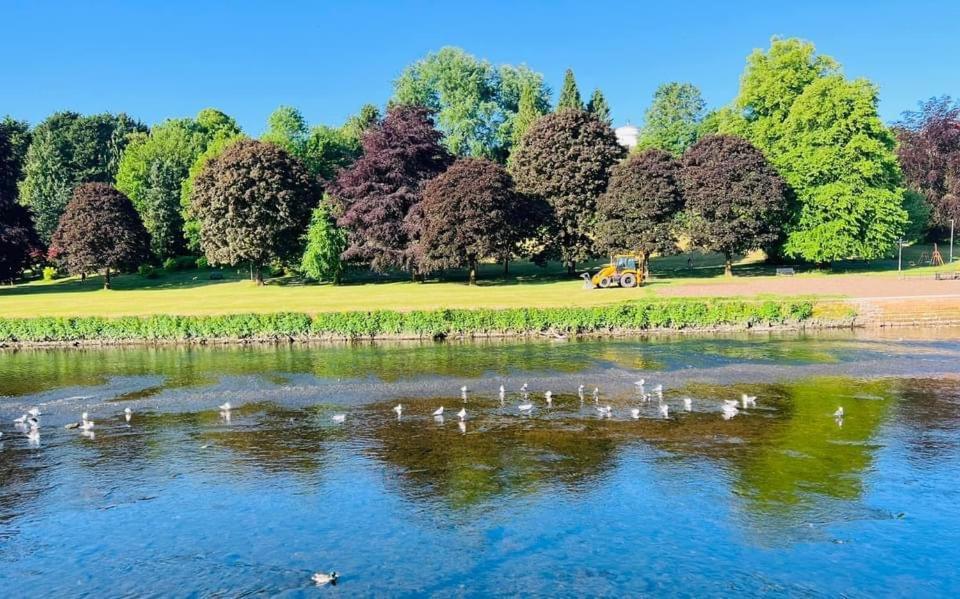 Stunning Period Townhouse With Garden, Walking Distance To Town Villa Dumfries Exteriör bild